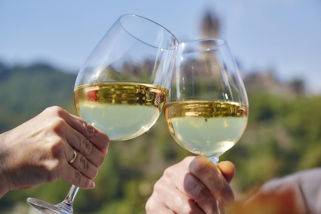 Flair Hotel am Rosenhügel Cochem Dış mekan fotoğraf